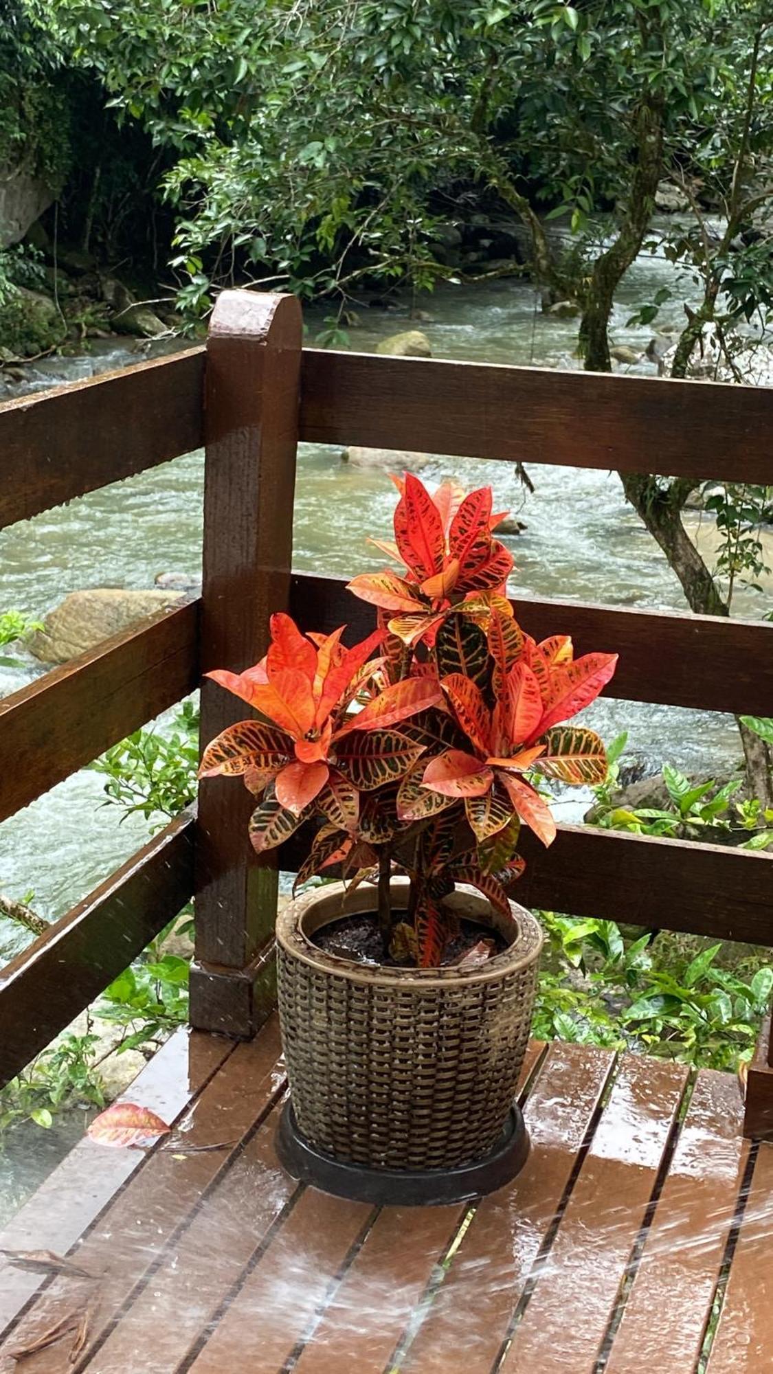 Chacara Da Liberdade Serra De Macae-Bicuda Pequenaヴィラ エクステリア 写真