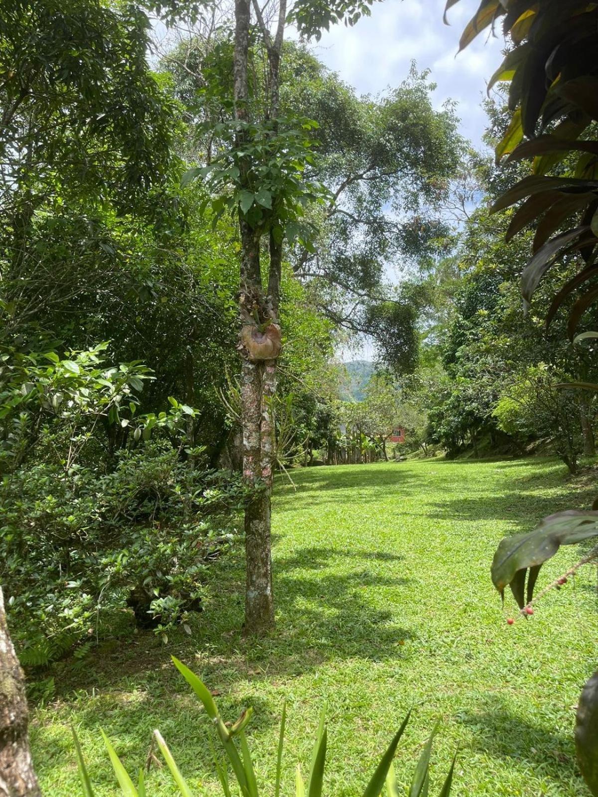 Chacara Da Liberdade Serra De Macae-Bicuda Pequenaヴィラ エクステリア 写真